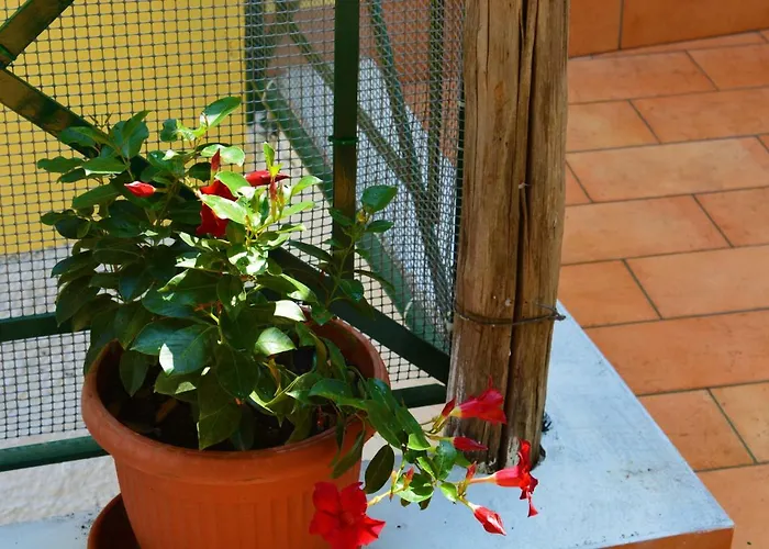 La Bomboniera